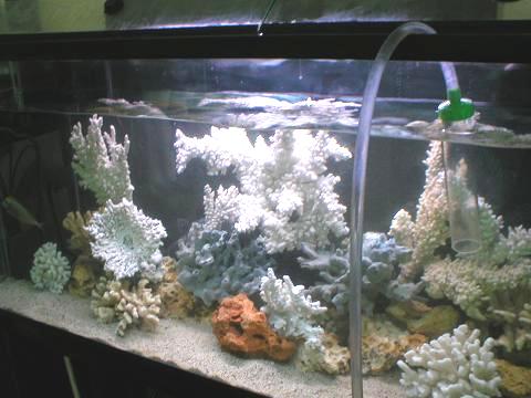 Water change