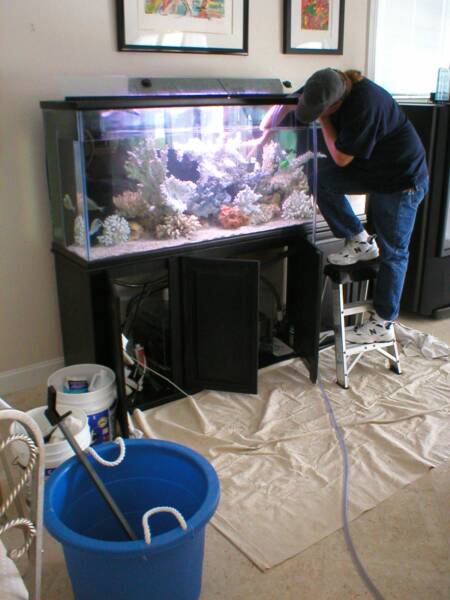 Aquarium cleaning