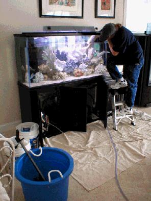 Aquarium cleaning