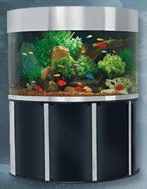 Acrylic aquariums, All Glass fish tanks, Custom  made aquariums, Wood Cabinet Stands, Wood Canopys