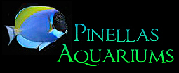 Welcome to Pinellas Aquariums featuring Titan Aquariums - Acrylic Aquariums Shipped Nationwide!